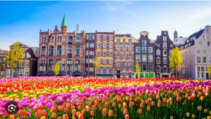 Paysages fleuris des Pays-Bas